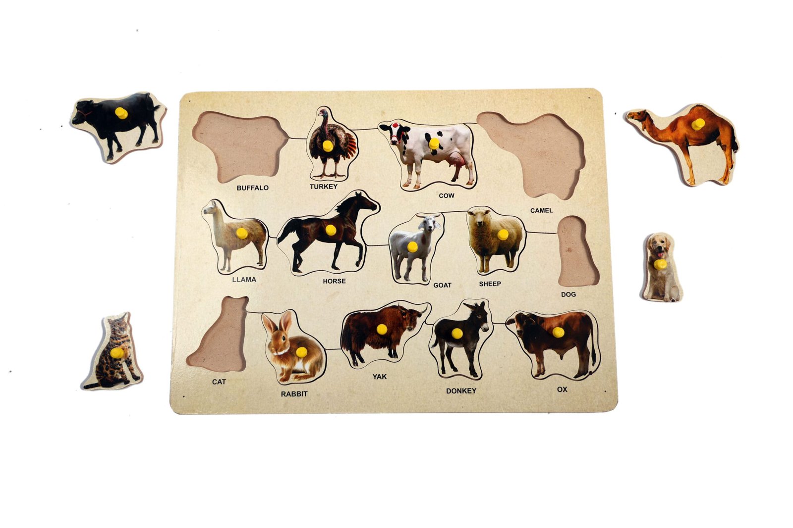 PET ANIMAL BOARD - Image 2