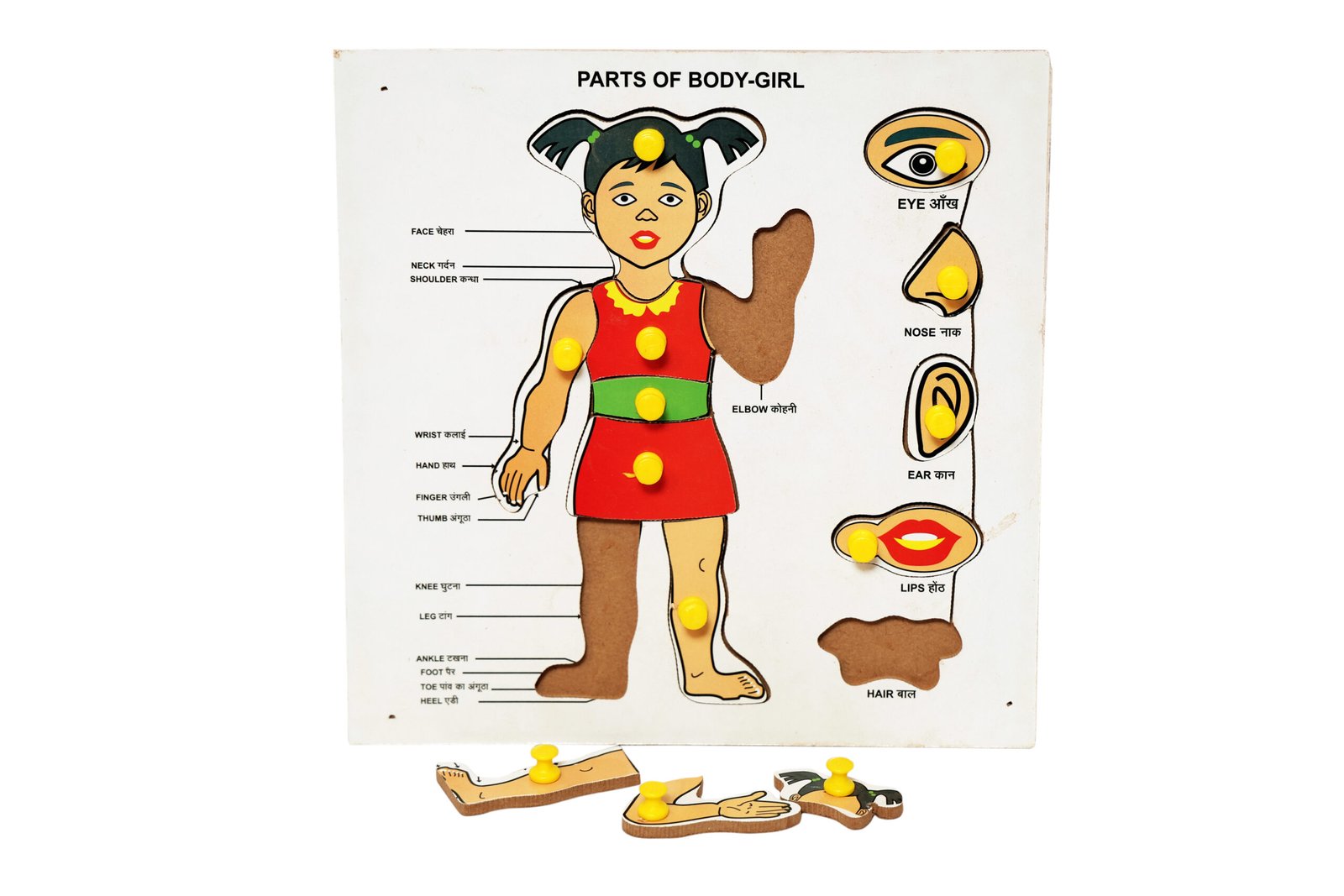 PUZZLE BOARD BODY PARTS GIRL - Image 2