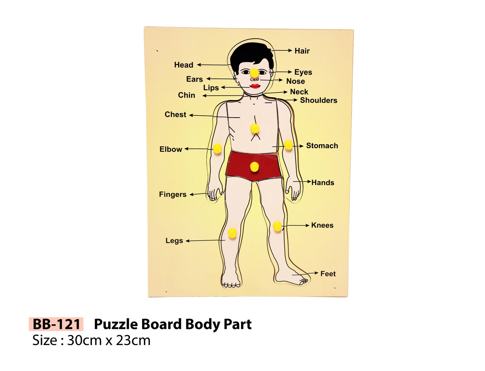 PUZZLE BOARD BODY PARTS BOY