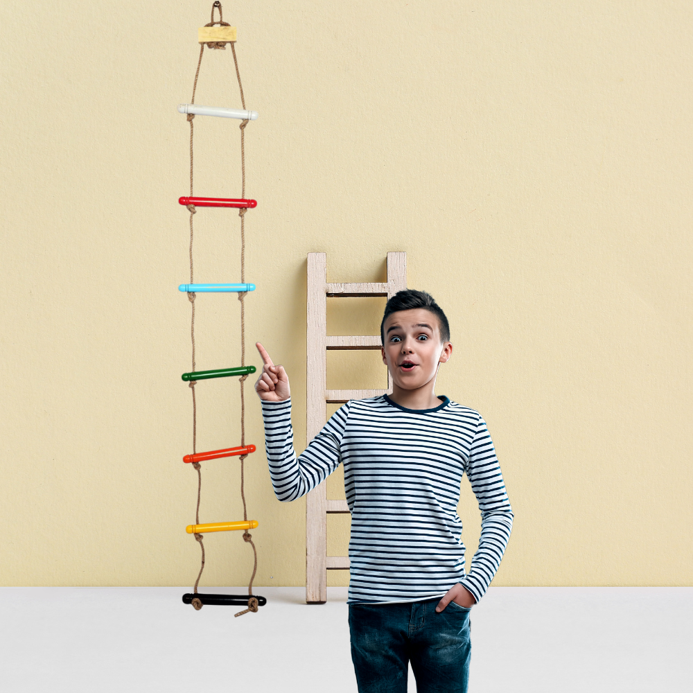 Bluebells Toys Skillofunry Mango Wood Wall Hanging 7-Steps Rope Ladder Fun Playing Toy for kids - Image 3