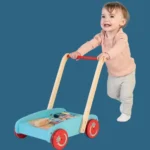 Walking Push Along Activity with Wheels Baby Walker